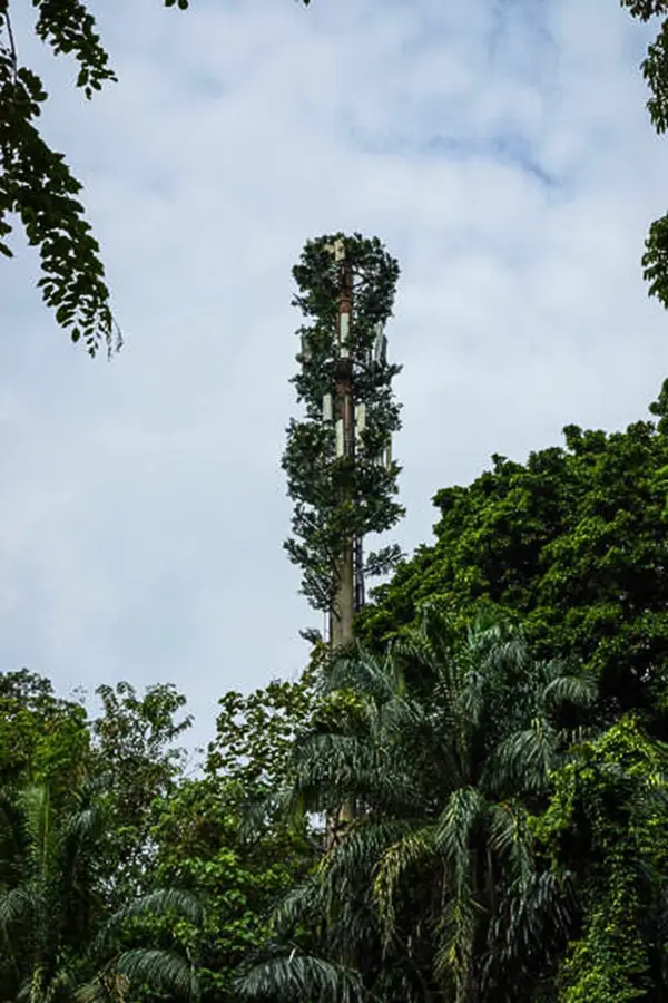 Camouflaged tower